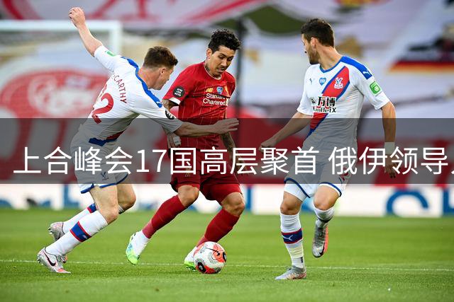 上合峰会17国高层聚首 俄伊领导人会谈引关注